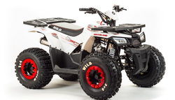 Квадроцикл MOTOLAND (МОТОЛЕНД) 125 WILD