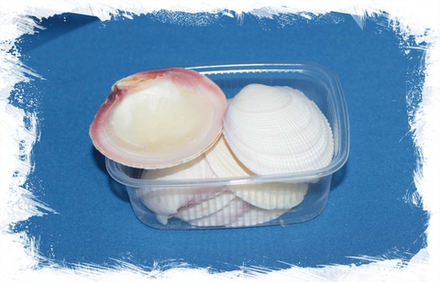 Кодакия Тигерина, 4-6см, 100гр, 10шт