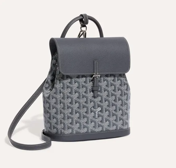 Рюкзак GOYARD Alpin Mini, серый
