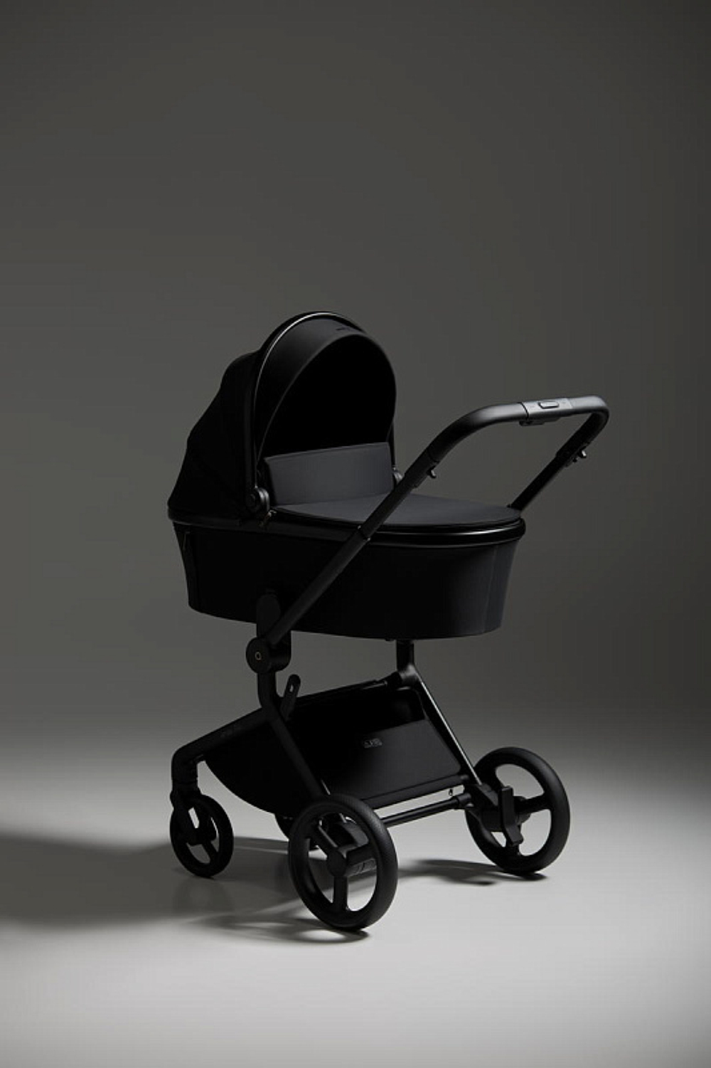 Детская коляска Anex Flo 2 в 1 Lungo