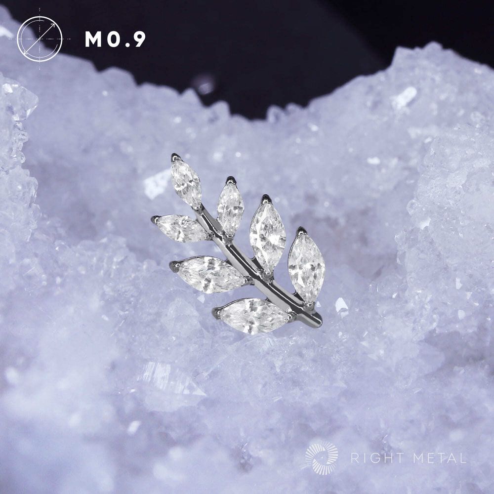 Branch v.2 Crystal
