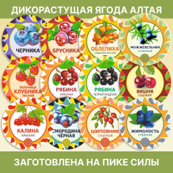 Одуванчика корень.