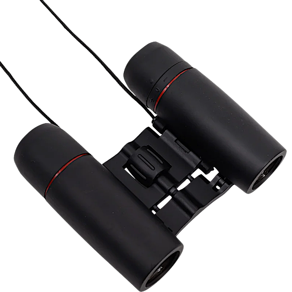 Бинокль Следопыт 10x22 PF-BT-01 65х44х90мм 177г в чехле -
