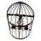 Бра Loft IT Vintage Birdcage Loft1891W