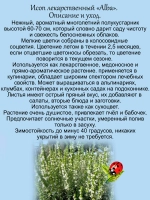 Исоп Альба лекарственный