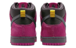 Кроссовки Run The Jewels X Nike Dunk Sb