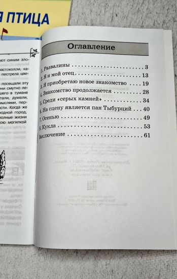Набор из книг по внеклассному чтению, 3 шт.