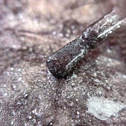 IQ BEAUTY Лак для ногтей профессиональный укрепляющий с биокерамикой #127, 12.5 мл светлая бронза с эффектом жатой фольги, плотный