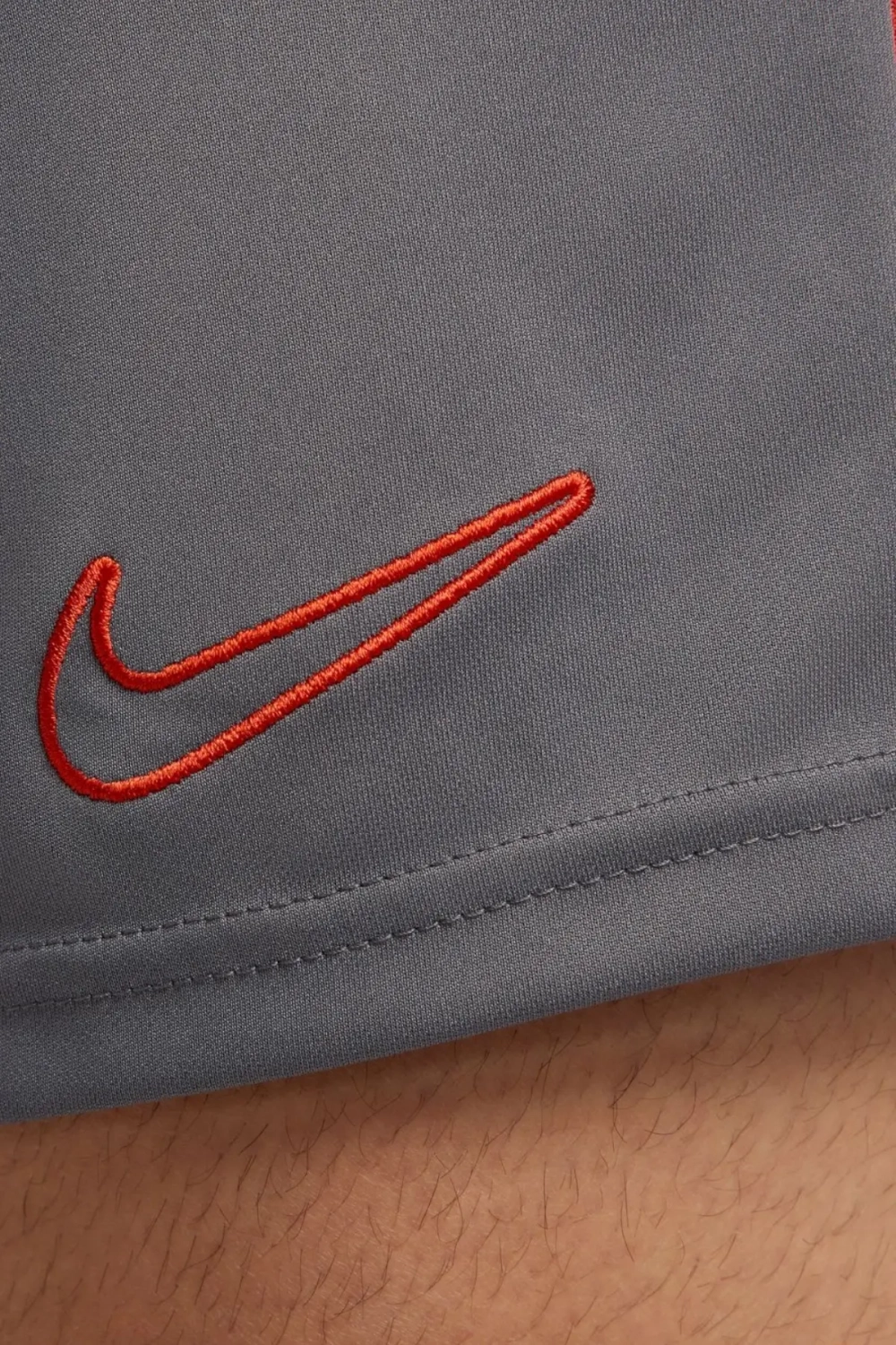 Шорты Nike Dri-FIT Academy - серый