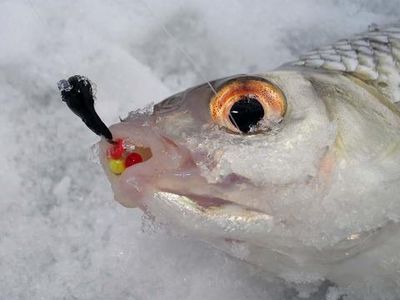 Мормышки