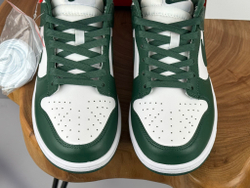 Nike Dunk Low Michigan State