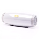 Колонка Bluetooth TG165 Silver