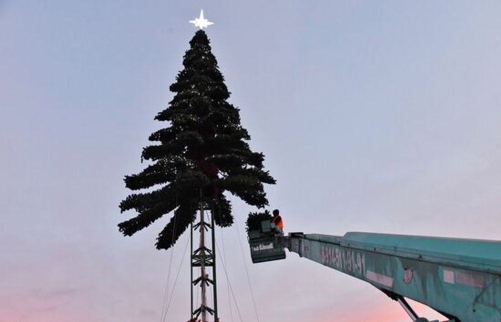 Светодинамическая елка ствольная - встроенная гирлянда: Теплый свет - "Таежная" от 11 до 21 м