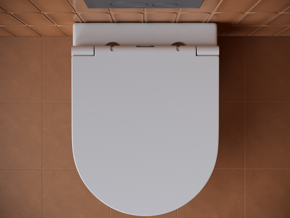 Подвесной унитаз Forma Rimless