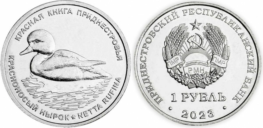 Приднестровье 1 рубль 2023 Красная книга - Красноносый нырок