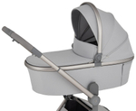Детская коляска Anex Flo x Avionaut Cosmo 3 в 1 без адаптеров Frossy/ss-06 Black