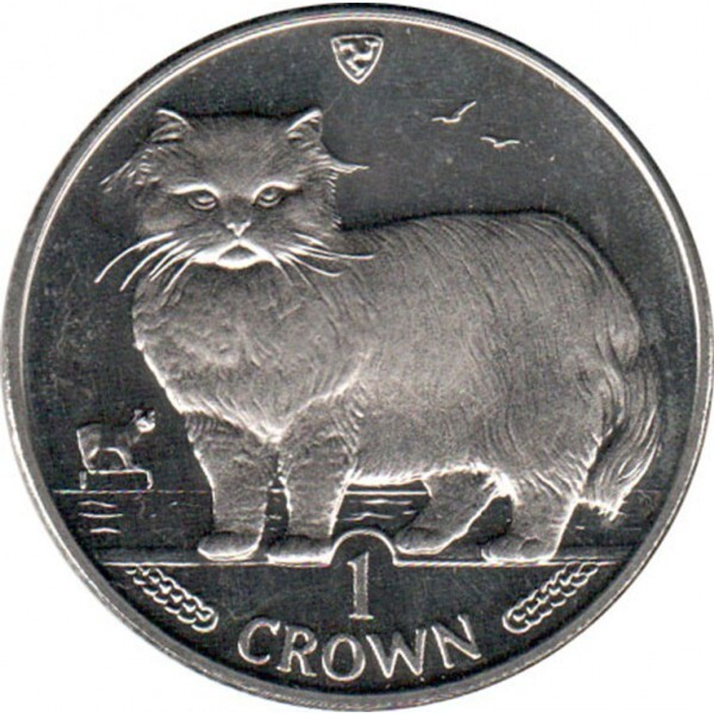 Персидская кошка