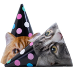 Колпаки праздничные «Котики» фотографичные, 6 шт