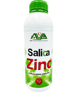 Salica Zink