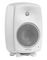 Genelec 8040BWM