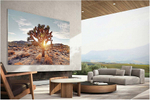 Телевизор Samsung MNA110MS1