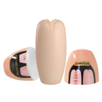 Телесный мастурбатор-вагина Catherine (Цвет: телесный)