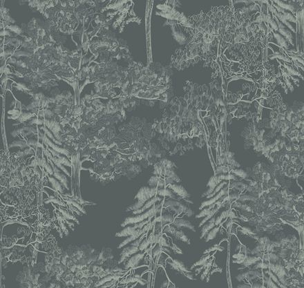 Ambient vol4 Лесной этюд