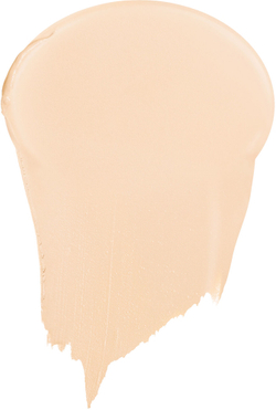 DIOR Dior Forever Skin Perfect - Многофункциональная тональная основа в стике оттенок 1W Warm, 10 g