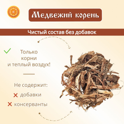 Медвежий корень Алтайский (Копеечник чайный/Красный корень).