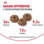 Royal Canin Appetite Control Care Аппетайт контрол кэа Корм сухой для взрослых кошек контроль выпрашивания корма 2кг