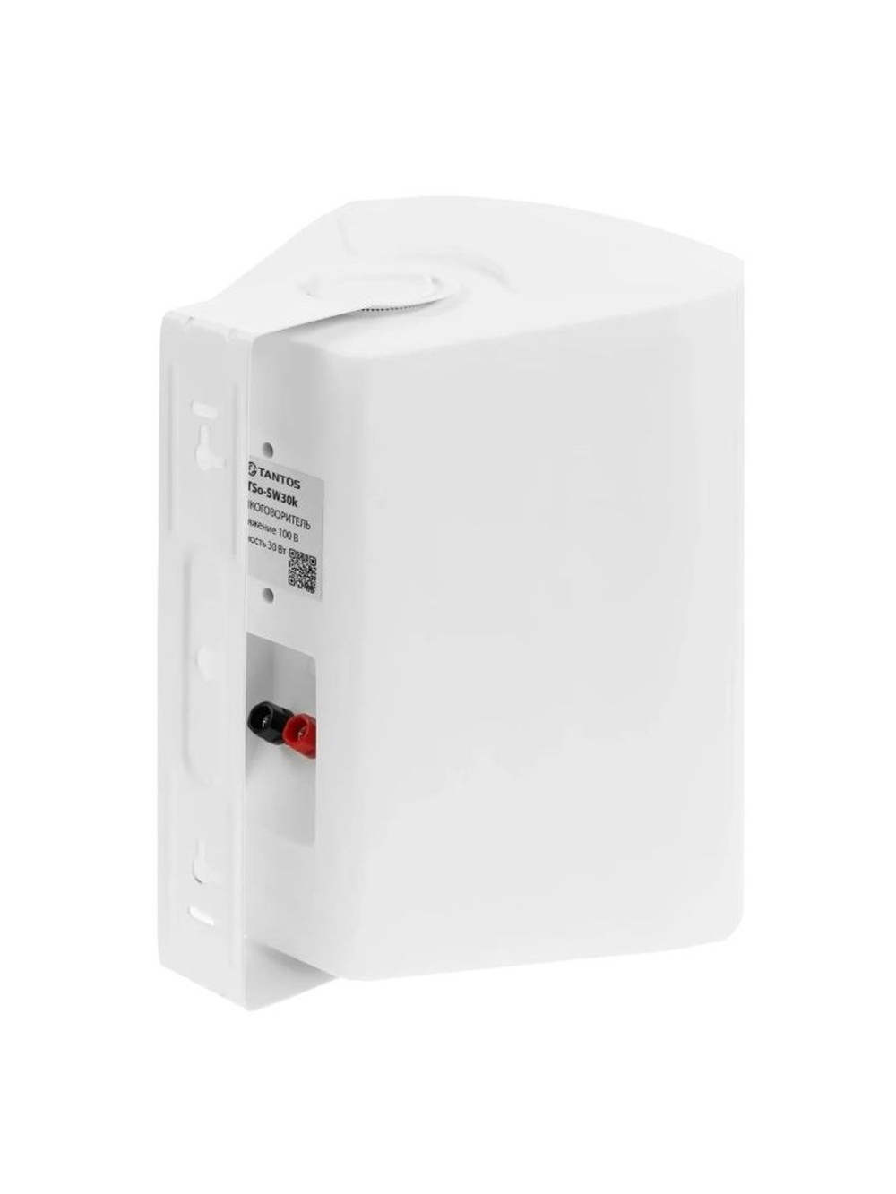 Громкоговоритель TSo-SW30k