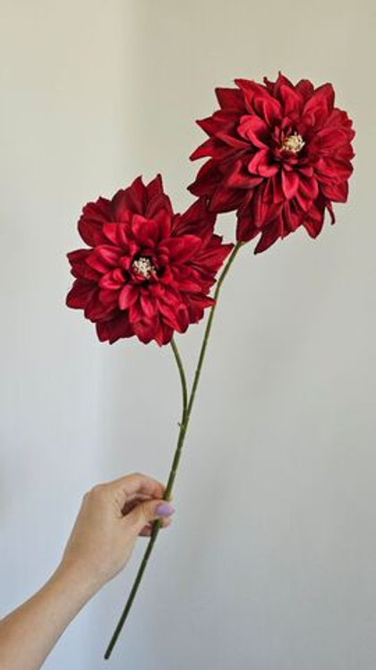 Хризантема / Арт 2625