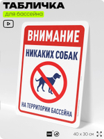 Табличка для бассейна "Внимание, никаких собак", на пляж, для общественной и частной зоны отдыха, информационная, 40х30 см, Silver Plane x Айдентика Технолоджи
