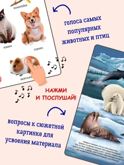 50 звуков. Животные