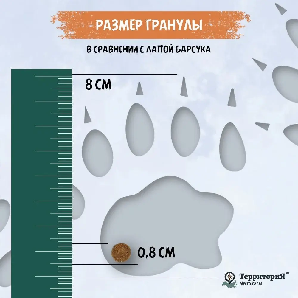 Территория сухой корм для собак мелких пород Кавказ Индейка с морошкой, 800 г