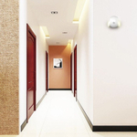 Настенный светильник L'Arte Luce Mikko