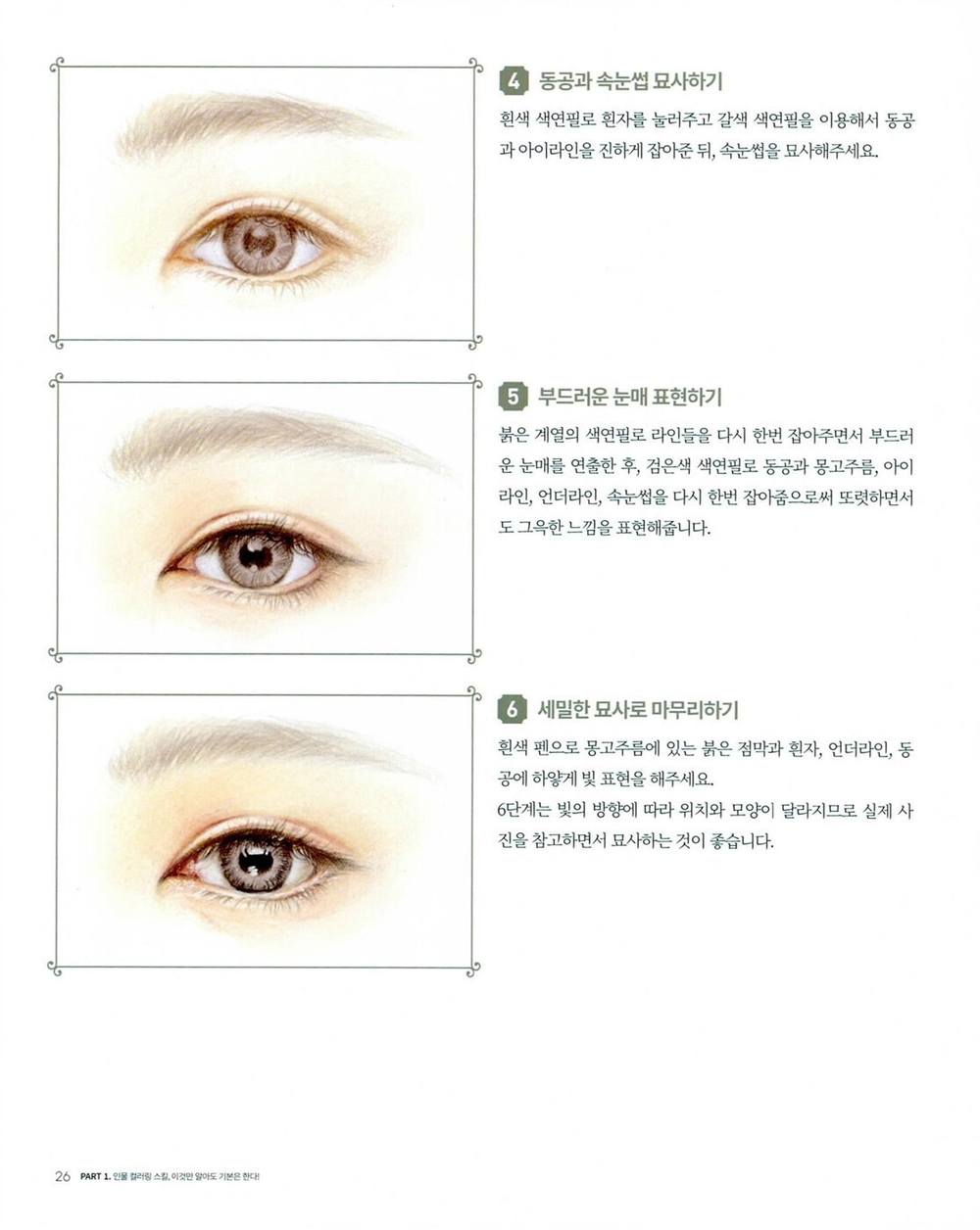 Portrait Guidebook. Coloring book