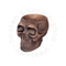 Чашка Werkbund WSE Scull Black