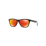 Oakley Frogskins Tinted Очки E6+