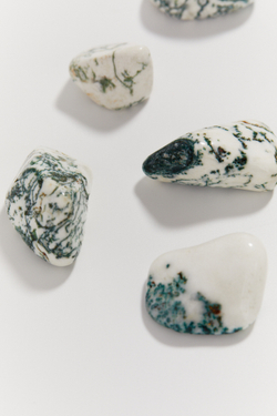 Древесный агат