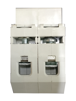 Автоматический 2-полюсный выключатель TDM С10 ВА47-29 SQ0206-0091