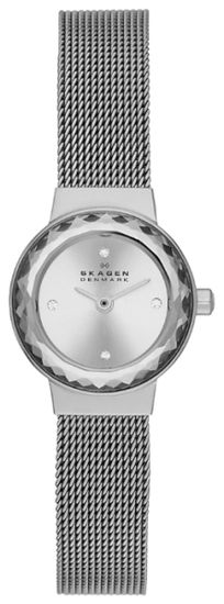 Наручные часы Skagen SKW2184