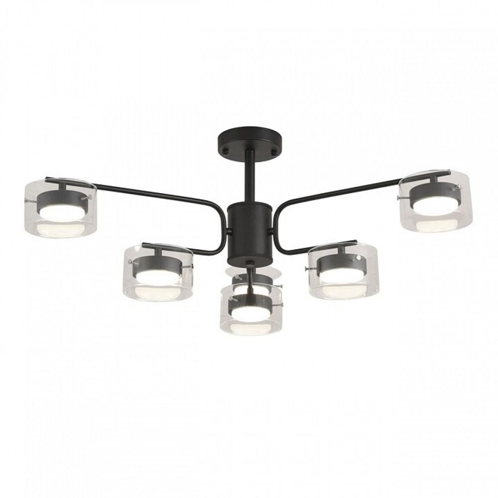 Люстра на штанге Lumion NATALINA 8349/6C