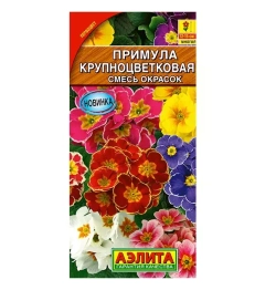 Примула Семена Алтая