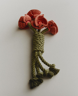 Игрушка для собаки Zara Home, хлопок, 1374/149