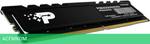 Оперативная память Patriot Signature Premium Line 16GB DDR5 PC5-44800 (PSP516G56002H1)