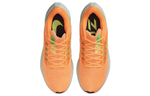Кроссовки Nike Air Zoom Pegasus 39 (Женская размерная сетка)