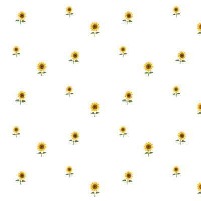 Подсолнух Sunflower