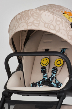 Детская коляска Anex e/type 2 в 1 joy