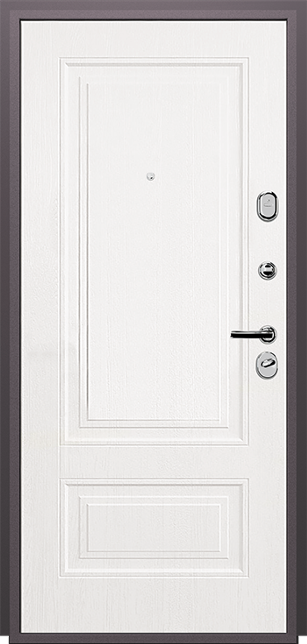 Дверь входная Арктика